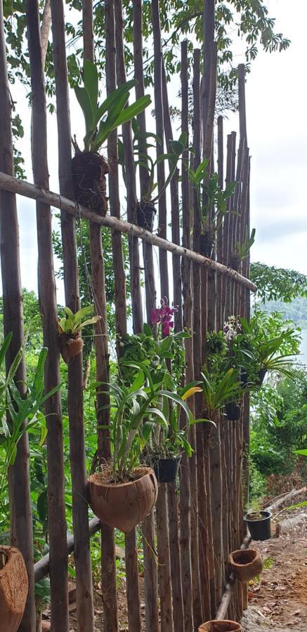 Apartmán Jeroen'S Jungle View Ko Čang Exteriér fotografie
